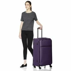 AmazonBasics Belltown Softside Rolling Spinner Suitcase Luggage - 29 Inch, Heather Purple -LUGGAGE FACTORY Sales 31UlqH4dP1L