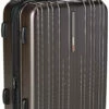 Traveler's Choice Tasmania 100% Pure Polycarbonate Expandable Spinner Luggage, Dark Brown, Carry-on 20-Inch
